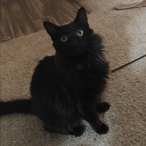 Meet your Posher, Tara